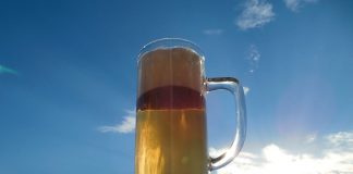 Czech traditional beverage: Local Czech Beer or Becherovka?