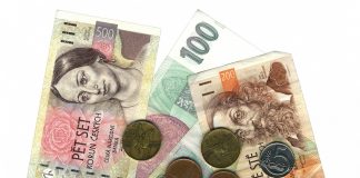 EUR or CZK - Payment in Euro or Czech currency?