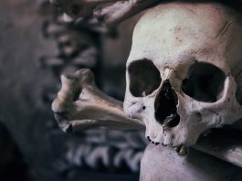 Travel back in time - The Bone Church in Kutna Hora