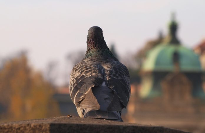 Weather in Prague – sometimes the weather plays an interesting game with us