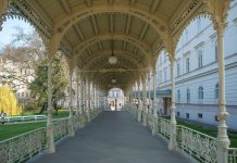 Arrange one day trip from Prague to Karlovy vary or Dresden