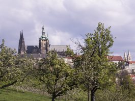 Prague Castle history for 2 million visitors every year