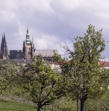 Prague Castle history for 2 million visitors every year