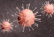 Number of confirmed Czech coronavirus patients hits 214, rising by 25 overnight