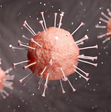 Number of confirmed Czech coronavirus patients hits 214, rising by 25 overnight